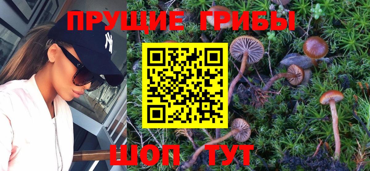 Альметьевск  Галлюциногенные грибы GOLDEN TEACHER  Вход с VPN 